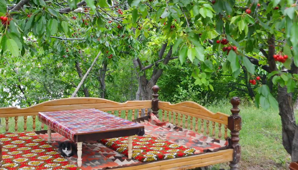 Uzbek Village & Nature Trekking Day Tour from Samarkand